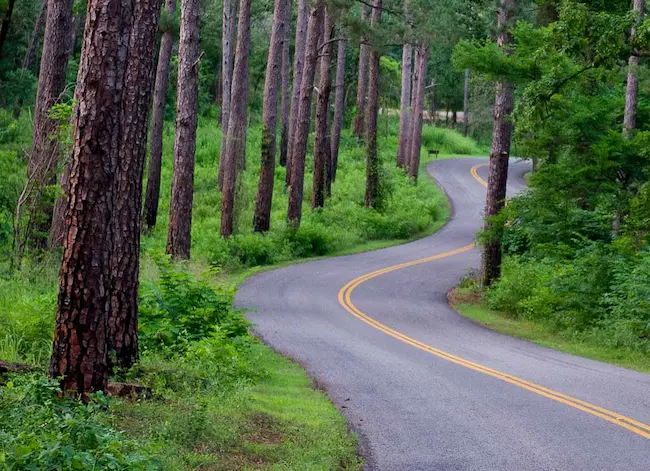 tyler-texas-road